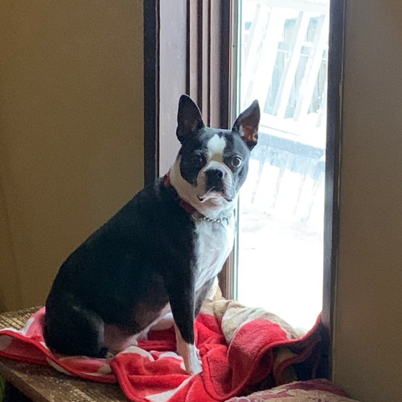 2000+ 5⭐️ REVIEWS - Picture 14 of 17